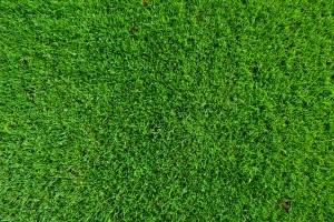 Benefits of a Healthy Lawn