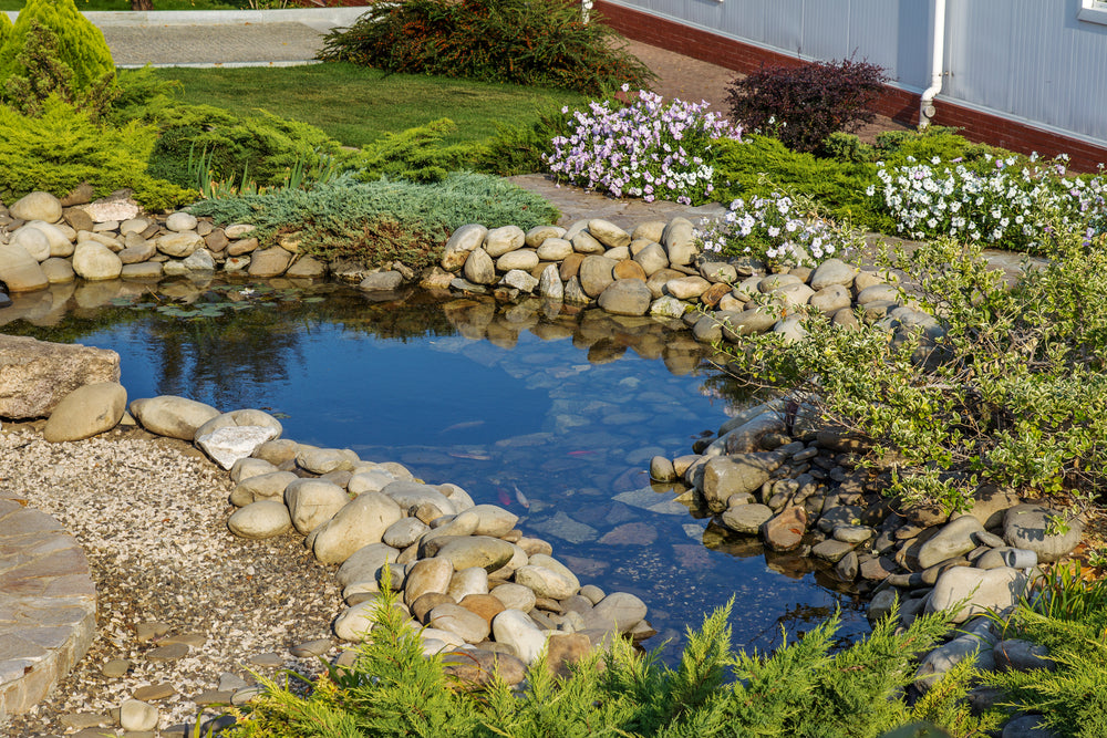 8 Benefits of Using Pond Dye
